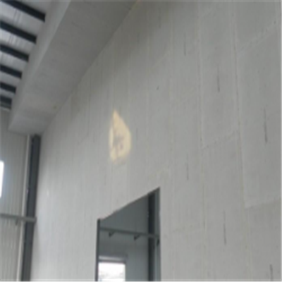 青云谱宁波ALC板|EPS加气板隔墙与混凝土整浇联接的实验研讨